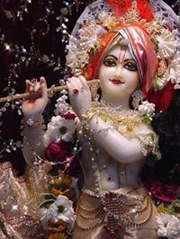 Rupesh Patil