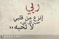 محمود السيد