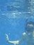 Ardian ...