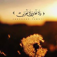 Doaa Ahmed