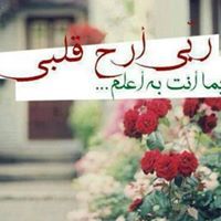 زوزو البطاليه