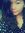 Donna N...