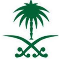 عبدالإله الضاوي