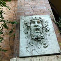 David Jensen jannusch