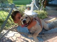 Данило Денчић