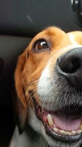 Nikolasolio De la hora