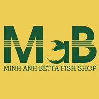 Minh Anh