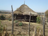 Tirsit Assefa