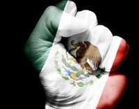 Javier Salinas castillo