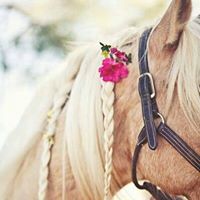 Mäîmôñáh Ahmãd