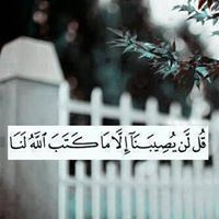 إسماعيل رفقي