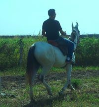 Kuntal Bhati