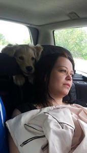 Ралица Вълканова