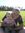 John Hurlock | 4 comments
