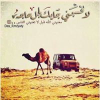 محمد الثقفي