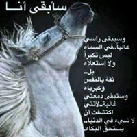 احمد الشهالي