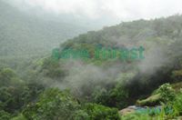 ಅನಿಲ್. ಎಸ್