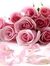 Sapna A...
