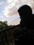 Amro Adil