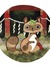 Tanuki
