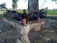 عماد القراله