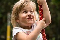 محمد عبداللطيف