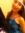Ilona P...