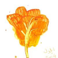Razan Abboud