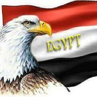 البحث عن