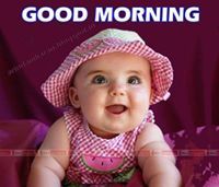 قائد الشوامرة