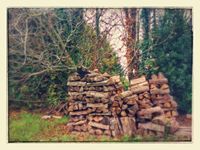 Thomas-vanessa Devogele