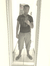Shane L...