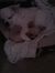 Mary Hill lind