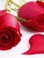 Donna M...