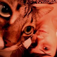 Rita Lopes da graça