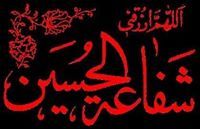 عودة الصافى