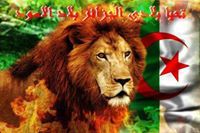 اسامة الجزائري