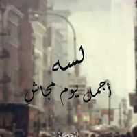 Shaymaa Mohamed