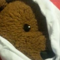 Roderick Bear