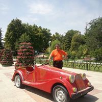 علي العزاوي