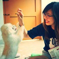 Chew Jun