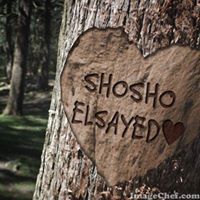 Shosho Elsayed