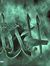 Elham H...