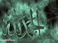Elham Hanafy