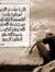 Ahmed S...