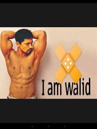 Walid Ahmed