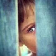 Mostafa Shams