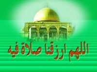 أسامة نجاجره