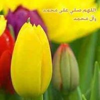 أم عبد الله