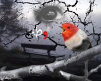 Alhareth Al-dhubaibi